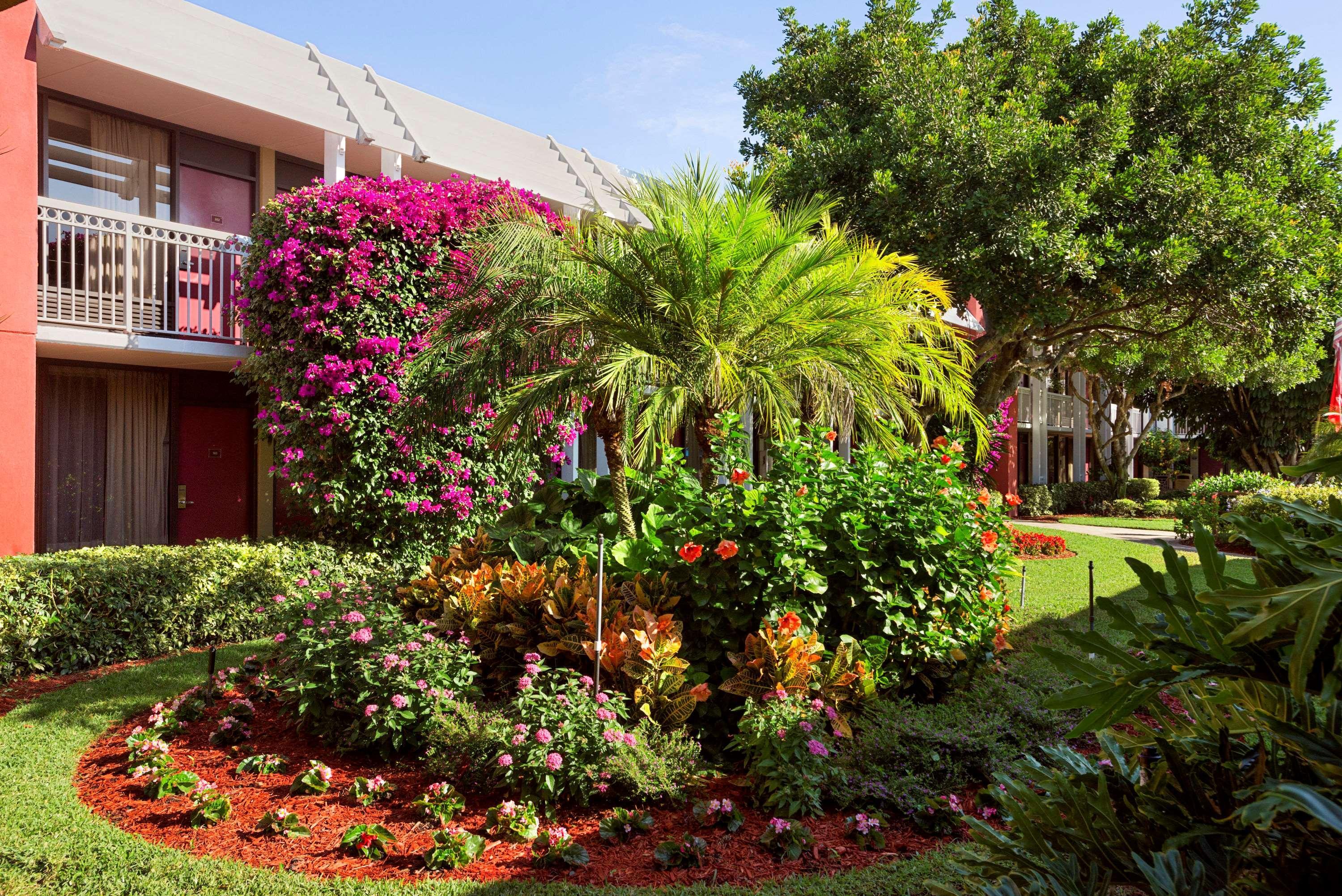 Collins Hotel Naples Exterior photo