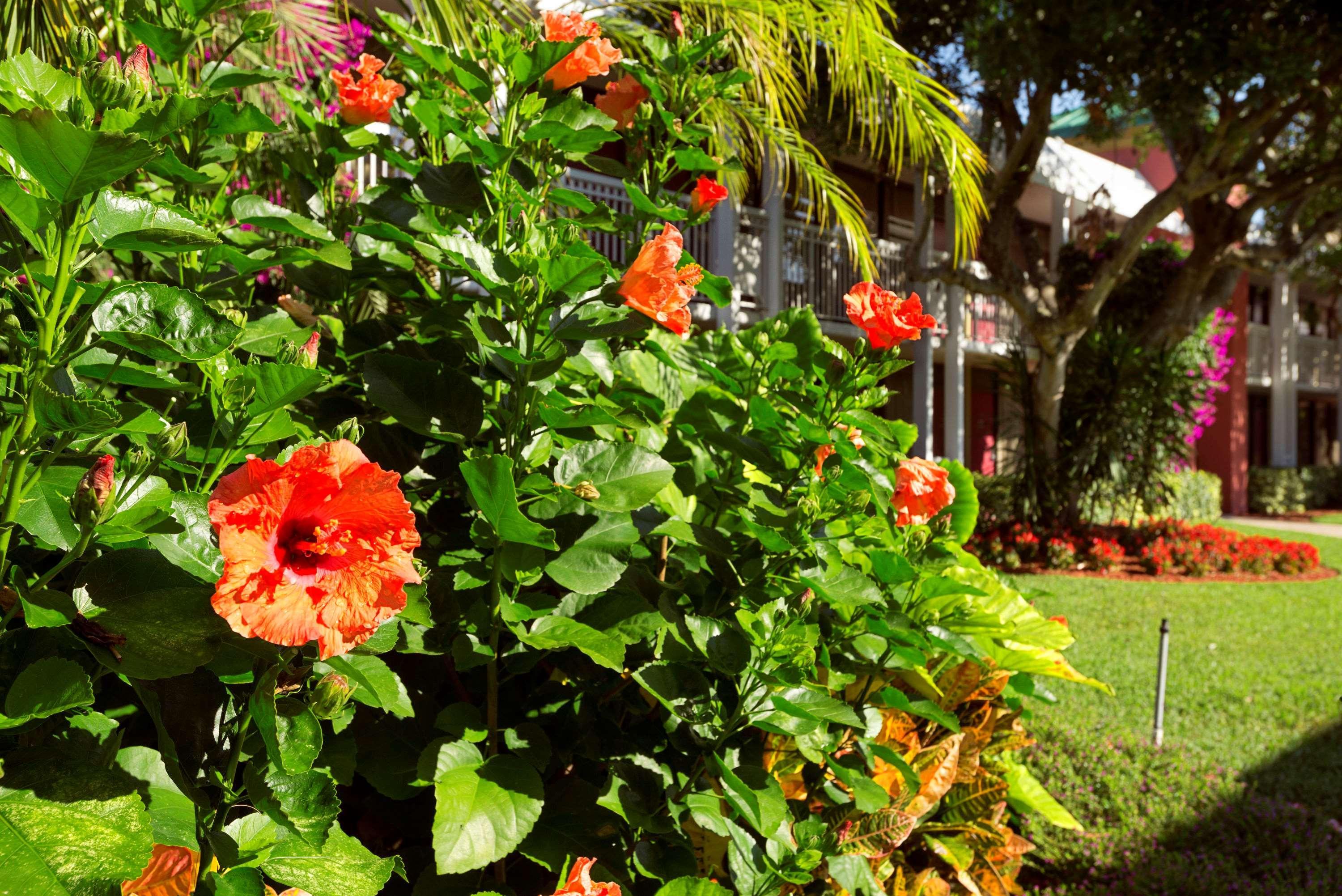 Collins Hotel Naples Exterior photo