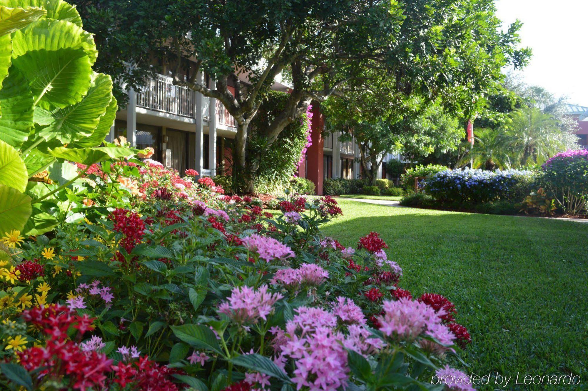 Collins Hotel Naples Exterior photo